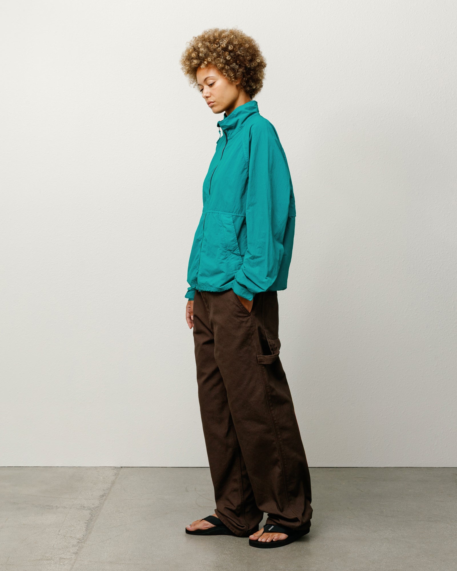 Carpenter Pant Canvas – Brown | Bottoms | Stüssy – Stussy AU