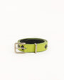 LEATHER ARGYLE BELT