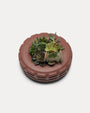 stussy plant pot Tire Plant Pot in terracotta – Stüssy – Stussy AU
