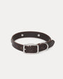 SS LINK STUDDED DOG COLLAR