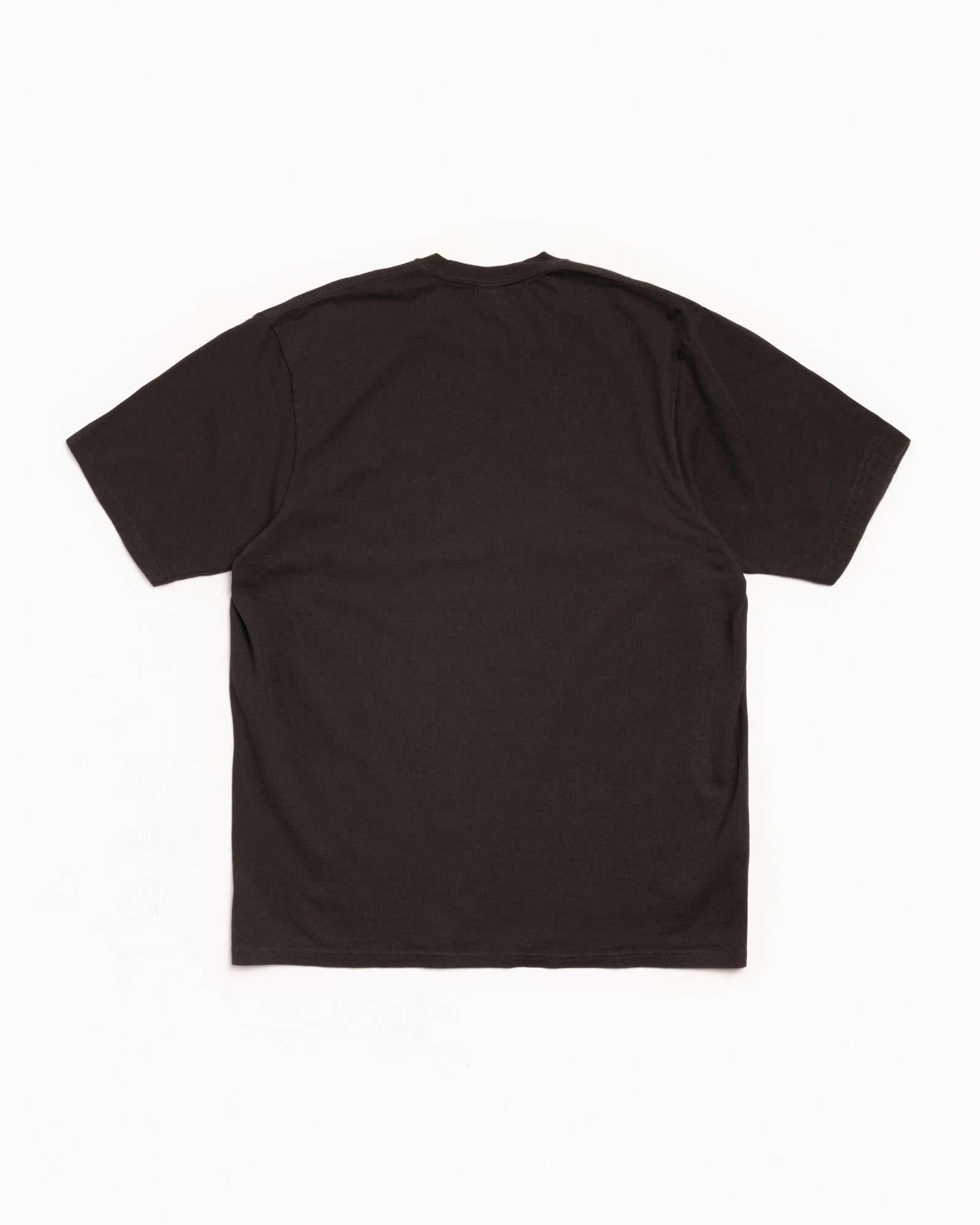 STRETCH PIG. DYED TEE