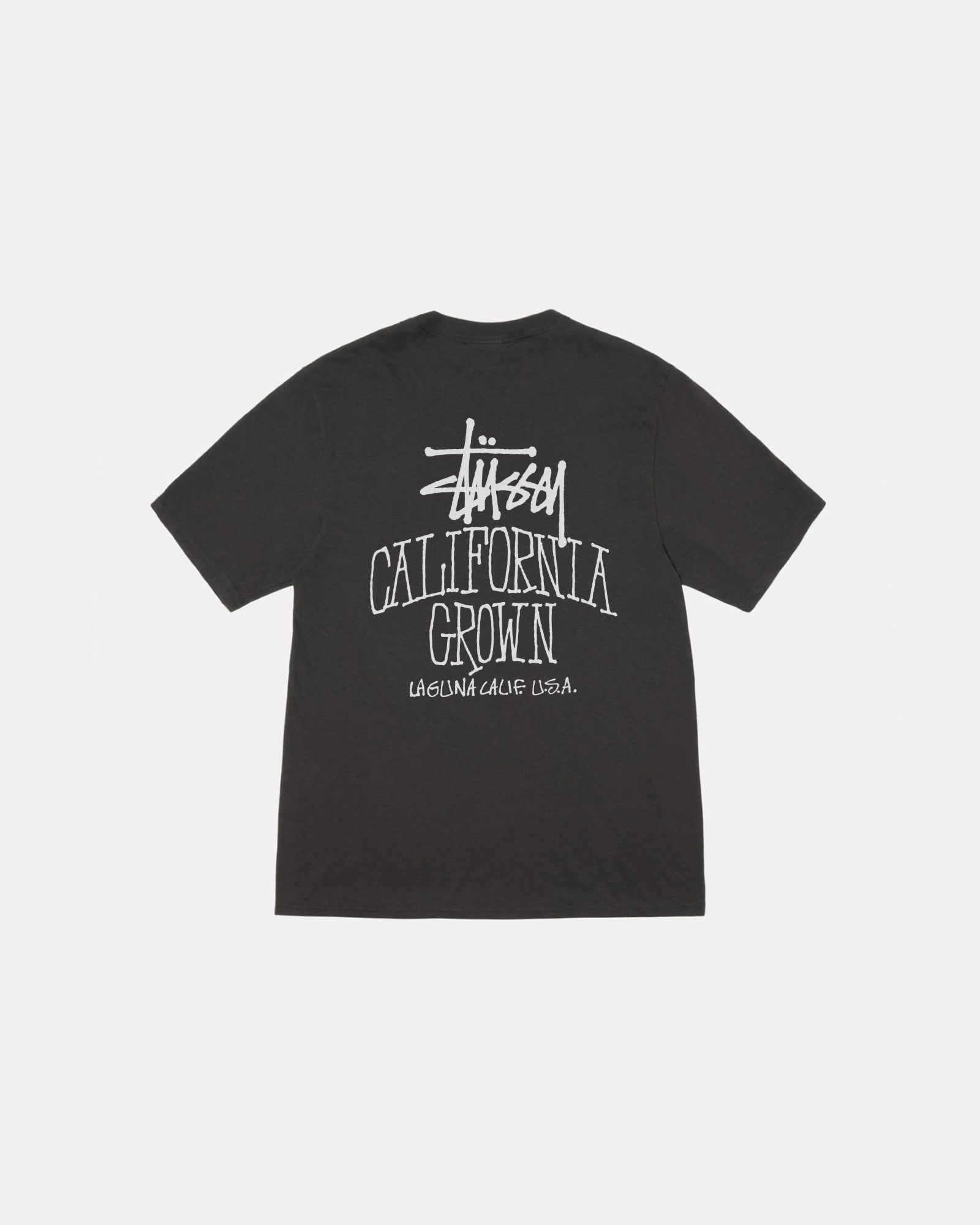 CALI GROWN PIG. DYED TEE