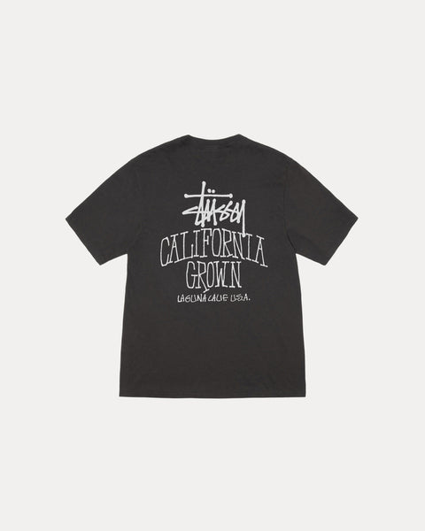 CALI GROWN PIG. DYED TEE