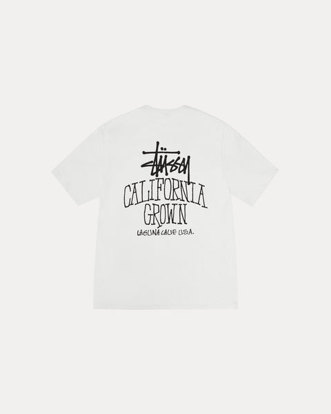 CALI GROWN PIG. DYED TEE
