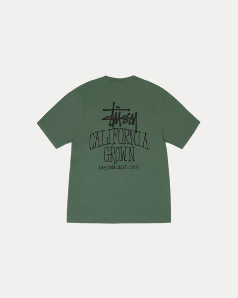 CALI GROWN PIG. DYED TEE