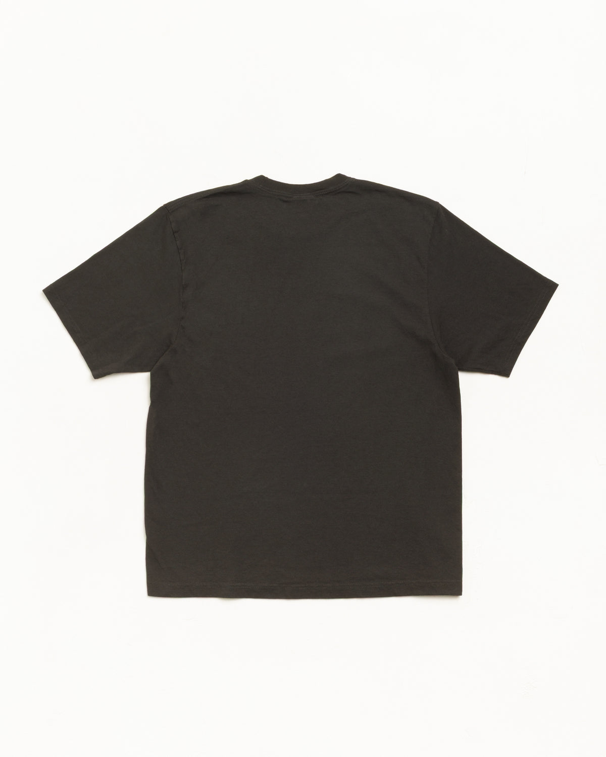 GARMENT CO. PIG. DYED TEE