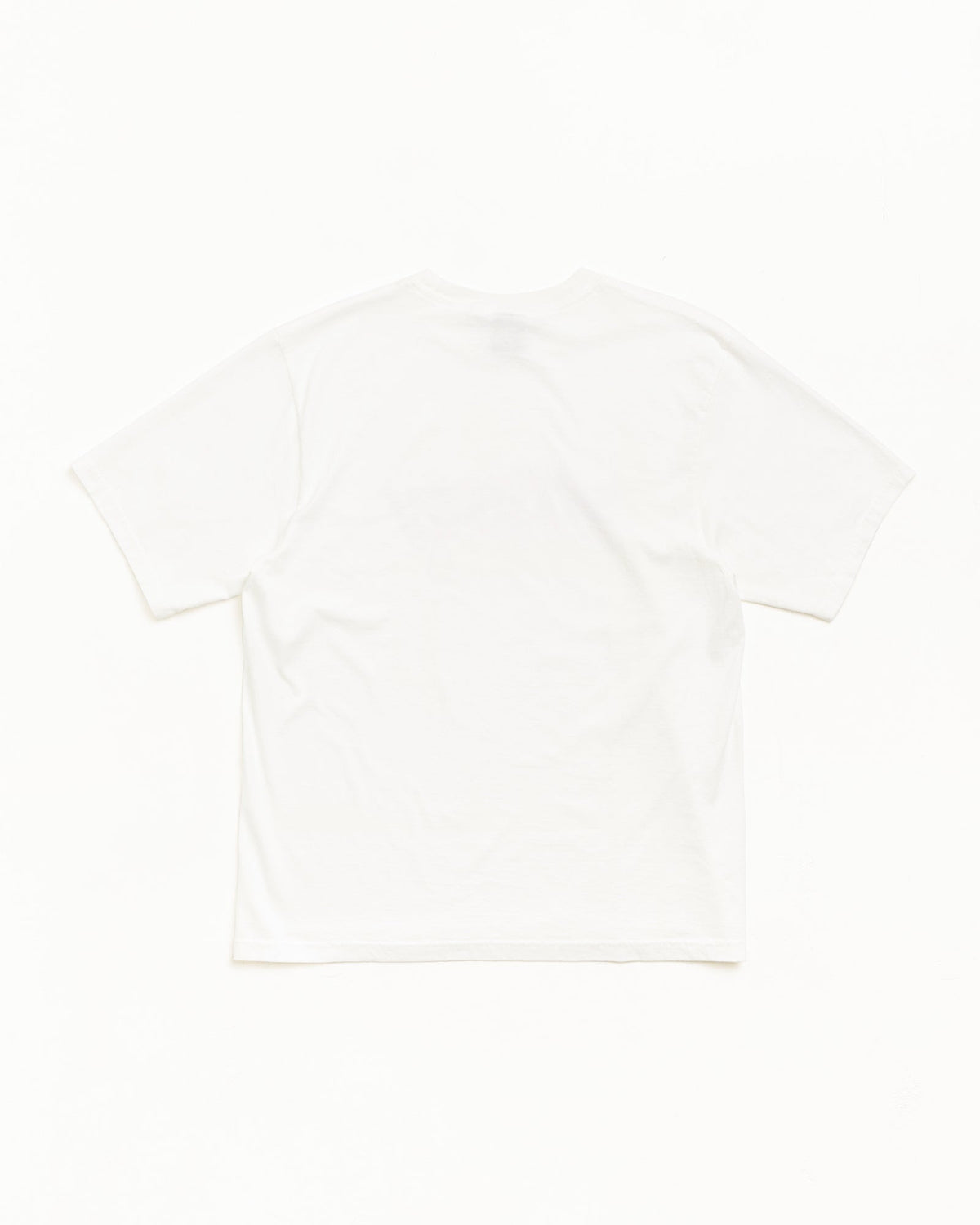 GARMENT CO. PIG. DYED TEE