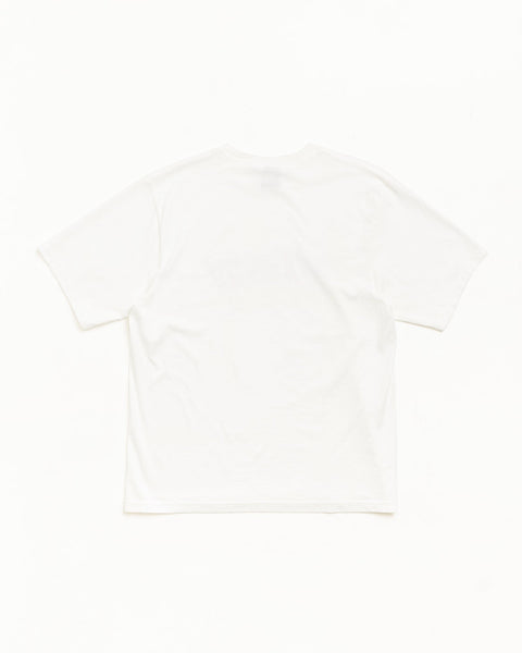 GARMENT CO. PIG. DYED TEE