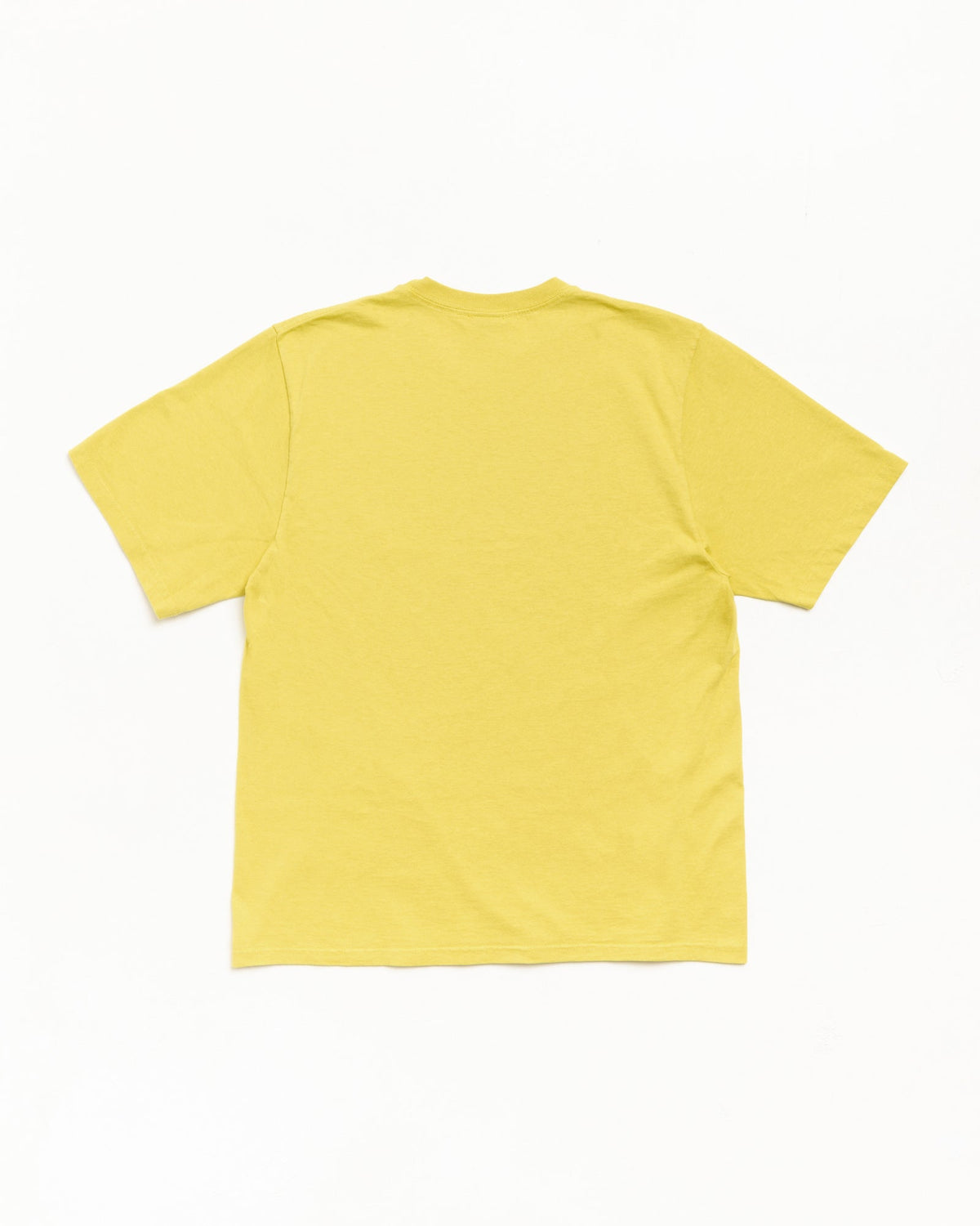 GARMENT CO. PIG. DYED TEE