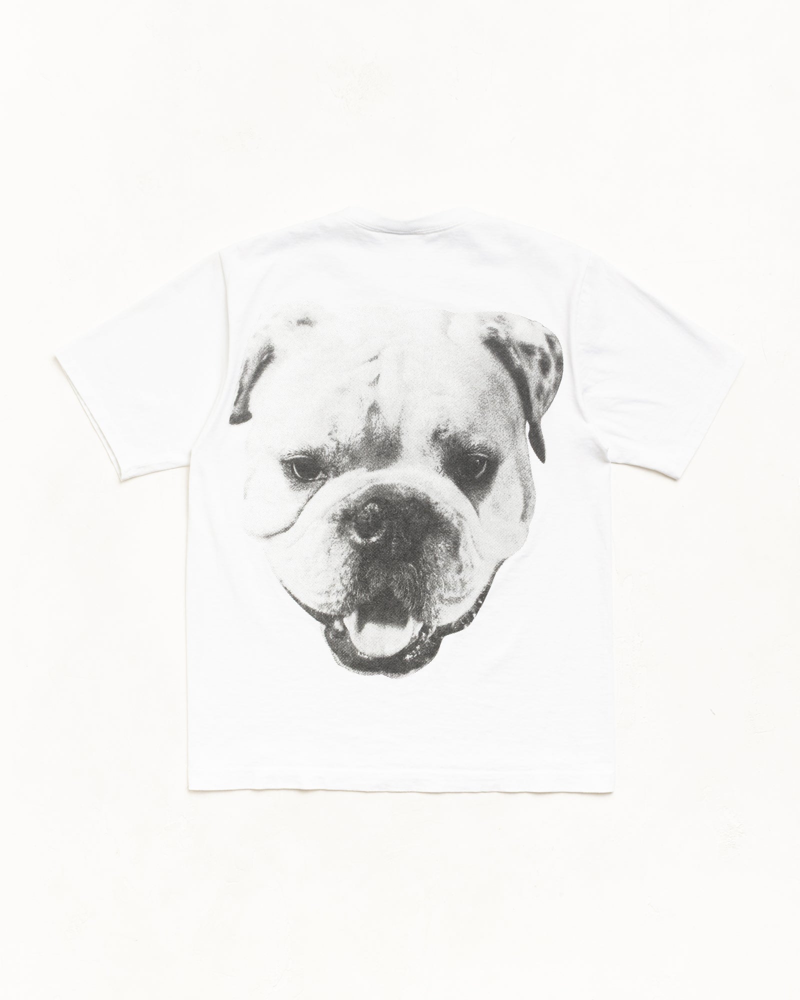 Big Dog Tee – White | Tees | Stüssy – Stussy AU